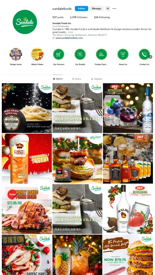 sundale foods ig